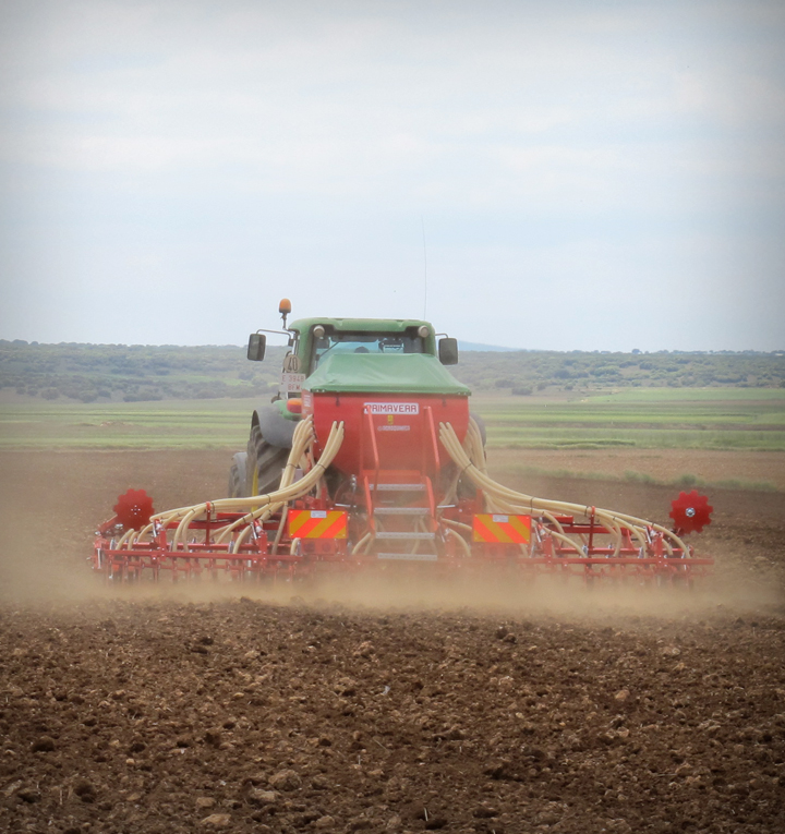 Por qué elegir PRIMAVERA